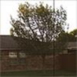 Model 464 Mirrored Bronze Modern Glass Garage Door Model 8450, OTT Garage Doors