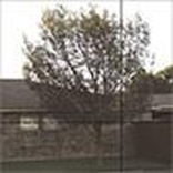 Model 464 Mirrored Gray Modern Glass Garage Door Model 8450, OTT Garage Doors